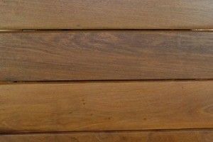 Волинські митники запобігли незаконному експорту черешчатого дуба