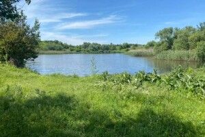 У громаді на Волині шукають охочих взяти в оренду ставок на 10 років