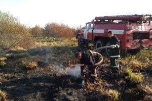 У Старовижівському районі горить торфовище