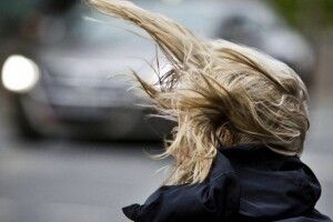 Волинян попереджають про сильний вітер