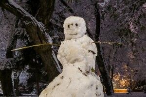 У Луцьку вночі з’явилися… сніговики (Фото)