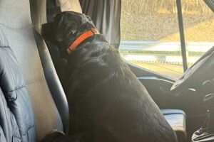 На Волинській митниці собака винюхав канабіс у портативній газовій плиті (Фото)