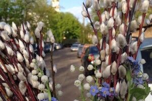 Вербу в Луцьку святитимуть сьогодні, завтра і позавтрому