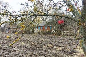 Яке воно — ​життя на хуторі за кілька кілометрів від Євросоюзу?