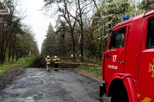 Повалені дерева та зірвані дахи: наслідки негоди на Волині (Фото)