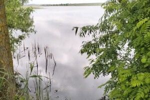 Понад 200 протоколів та сотня вилучених сіток: як минув сезон нерестової заборони на Волині