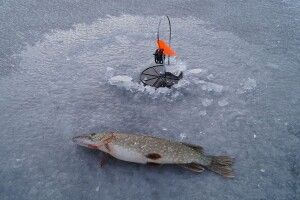 На Волині браконьєри влаштували «засідку» на щуку та накивали п'ятами