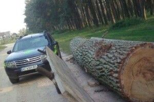 У Цумані впіймали крадіїв дубової деревини (фото)