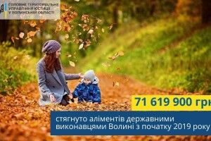 За 10 місяців державні виконавці Волині «вибили» майже 72 мільйони гривень боргів
