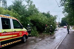 Волинські дороги розчищають після негоди