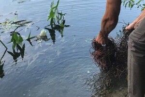 У Стиру в Луцьку знайшли мішки з дротами: порушників шукають, щоб покарати (Відео)