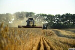 Україна більше не буде житницею: терміново потрібно вжити заходів