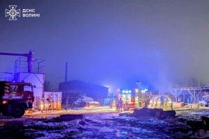 У Луцьку вночі палала господарська споруда