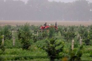 Завдяки грантам волинські аграрії створили 130 нових робочих місць і 800 - сезонних