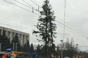 У Молдові гучний скандал через ялинку з України – визнали «облізлою» й вимагають штрафних санкцій