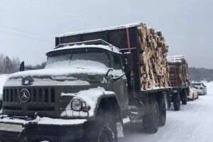 На Волині викрили злочинну групу, яка займалась незаконною порубкою лісу (Фото)