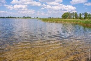 Шукають небайдужих людей, щоб почистити озеро у центрі села на Волині 