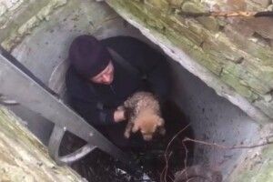 Бійці ДСНС врятували цуценя, яке впало в каналізаційний колодязь (фото)