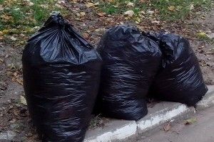 На Володимирській у Луцьку «муніципали» злапали сміттєву «зозулю»