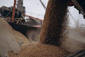 Єврокомісія скасувала ембарго на постачання українського зерна