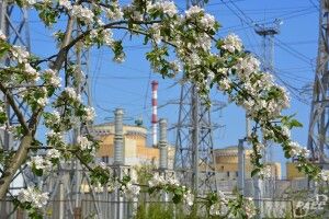 Планове завдання червня РАЕС виконано на 104,6%