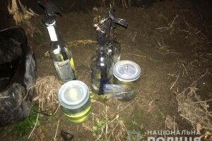 70-річний пенсіонер намагався вбити колишню співмешканку і ледь не спалив їй хату