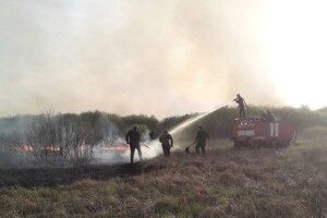 В національному парку на Волині горіло болото 