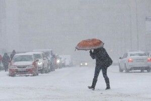 Яку погоду волинянам прогнозують поляки (Відео)