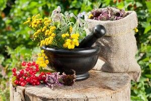 Кошти за заготівлю лісових ресурсів – у місцевий бюджет