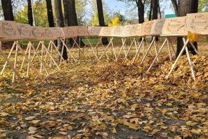 70 % флори Західного Полісся: у Шацькому національному парку показали гербарій, якому 50 років