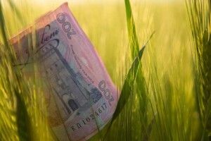 На Волині почали зростати зарплати 