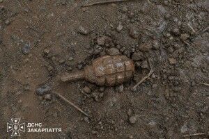 На туристичному маршруті в Карпатах знайшли гранату часів Другої світової