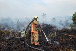 У двох районах на Волині гасять масштабні пожежі торфу (Фото)