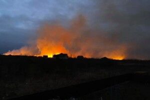На Волині обірвався дріт під напругою і спалахнула трава