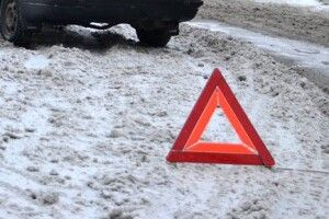 На Любешівщині «Рено» злетів з дороги