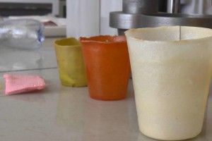У Сумах створили екологічний матеріал, з якого можна робити одноразовий посуд та упаковку