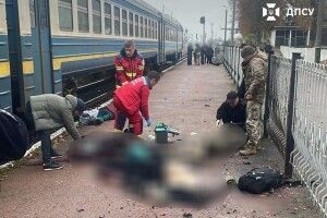 На Житомирщині чоловік підірвав себе під час перевірки документів