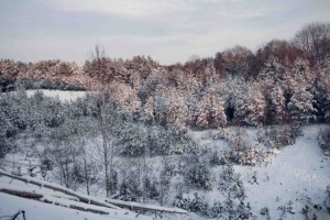 Кому продали «Старовижівський Буковель»