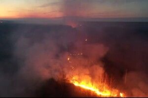 На Волині вогонь йде вздовж залізниці і наближається до села (Відео)