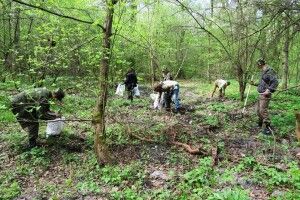 У Цуманській пущі прибрали урочище «Ківерцівське»