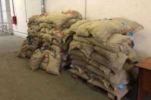 Незадеклароване насіння з Голландії волинські митники виявили завдяки... рентгенсистемі (Фото)