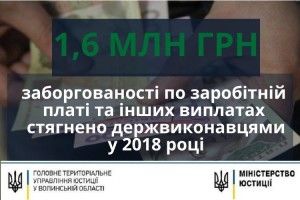 Виконавці поповнили бюджет Волині на солідну суму