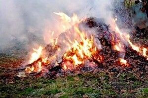 За спалення сміття оштрафували на 1300 гривень