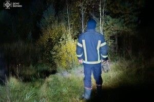 На Волині знайшли зниклу жінку, яка заблукала у лісі 