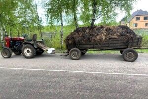 Повідомили деталі загибелі 10-річного хлопчика на Рівненщині