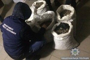 У Рівному вилучили майже півтора центнера «сонячного каміння»