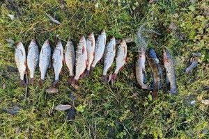 На Волині у заказнику спіймали браконьєра 
