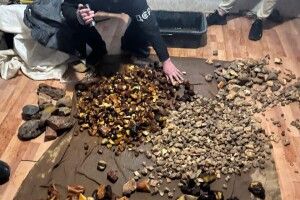 На Рівненщині у «бізнесменів» вилучили понад 80 кг бурштину