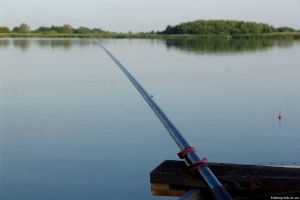 Під Рівненським СІЗО злапали чоловіка, який прив'язував «наркоту» до закинутих в'язнями «вудочок» 