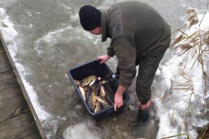 До Кричевичівського водосховища вселили понад 2 тонни цінних видів риб (Фото)